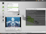 Gnome Mint 12 Fallback + Compiz