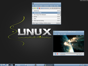 LXDE Lubuntu, The Flash