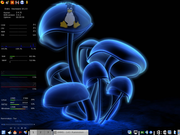 KDE cogumelo slackware