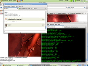 Gnome FreeBSD 8 (Compilando apache...