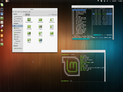 Gnome Mint 12