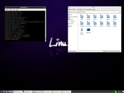 LXDE Debian 6 II