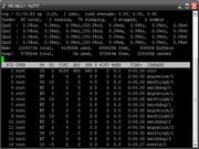 Blackbox Dell PowerEdge Intel Xeon Quad-Core rodando Debian 4 AMD64