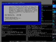 Fluxbox Arch Linux no Qemu - Debian Lenny