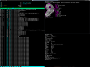Tiling window manager Gentoo + Awesome