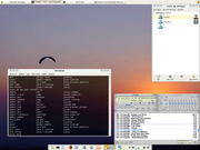 Xfce Debian-BR-CDD com XFCE