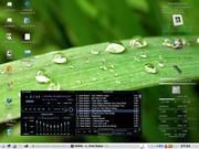 KDE Kubuntu 6.10, xmms, superkaramba