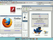 TWM Firefox 9 Flash e Evince no Tiny Core