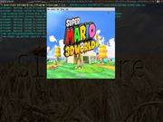 Tiling window manager Slackware rodando Super Mario 3D World