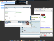  Slackware + Fluxbo...