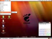 Gnome Tema 