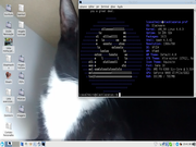 Xfce Slackware Xfce 4.12 + Xquisite icon theme