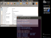 Gnome Ubuntu 11.04 + Screenlets