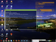 KDE Kurumin 5.0 + Torsmo + timid...