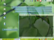 Gnome Desktop Suse 10.2 usando GNO...