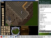  Ultima Online + Wi...