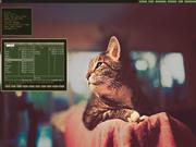 Tiling window manager Miau