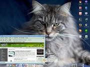  Slackware 10.1 (1s...