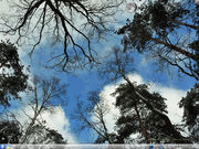 KDE my winternet sky