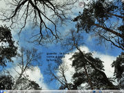 KDE my winternet sky 2