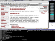  Slackware 10 e Window Manager Ion2
